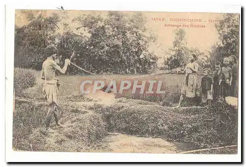 Vietnam Cochinchine Cartes postales Arrosage des rizieres