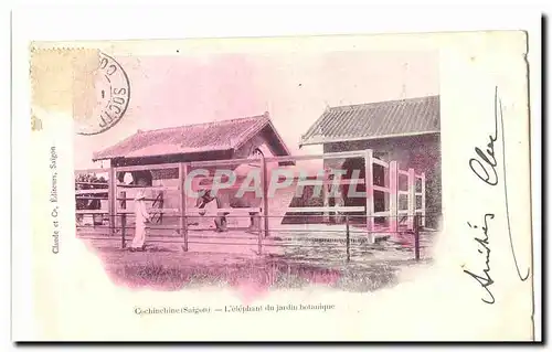 Vietnam Cochinchine Cartes postales L&#39elephant du ajridn botanqiue (zoo)