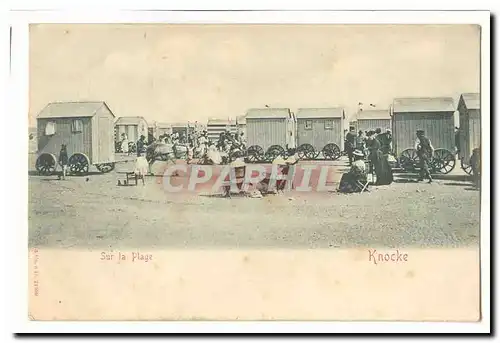 Belgique Knocke Cartes postales Sur la plage (ane donkey)