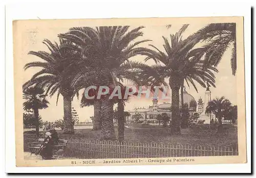 Nice Cartes postales Jardins Albert 1er Groupe de palmiers