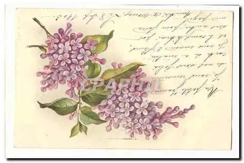 Cartes postales Voeux fleurs Fantaisie