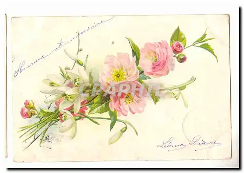 Cartes postales Voeux Fleurs