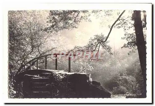 Avallon Cartes postales moderne Le pont des gardes sur le Cousin