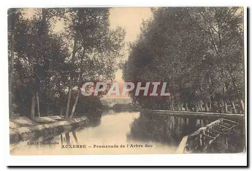 Auxerre Cartes postales Promenade de l&#39arbre sec