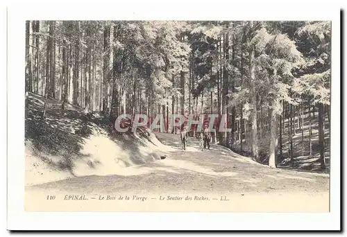 Epinal Cartes postales Le bois de la vierge le sentier des roches