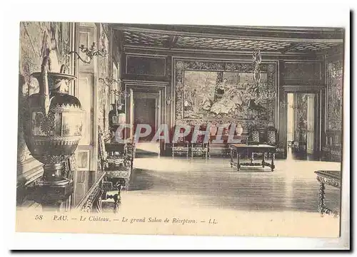 Pau Cartes postales le chateau Le grand salon de reception