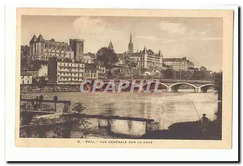 Pau Cartes postales vue generale sur le Gave