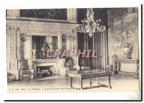 Pau Cartes postales Le chateau Le grand salon de reception