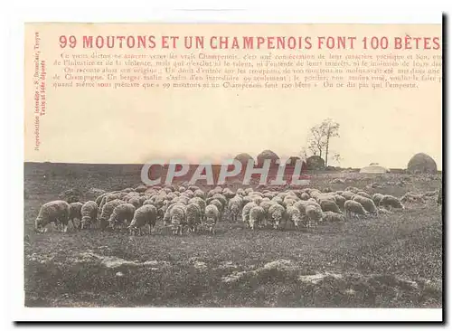 Cartes postales Fantaisie 99 moutons et un champenois dont 100 betes