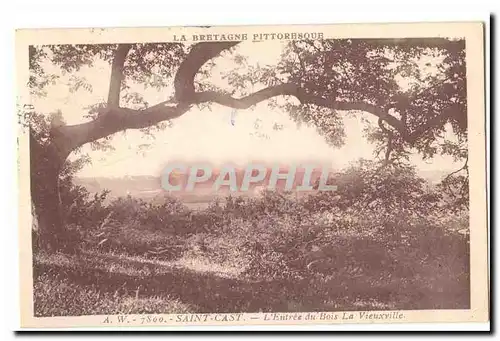Saint Cast Cartes postales L'entree du bois La Vieuxville