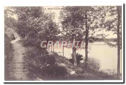 Cartes postales Le petit bois et l'etang des Ponts Neufs (entre Saint Brieuc et le val andre)