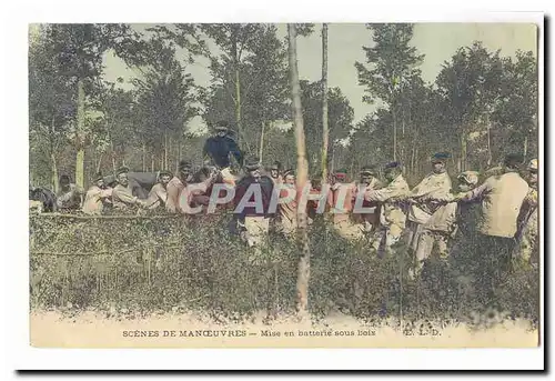 Cartes postales Militaria Scenes de manoeuvres Mise en batterie sous bois