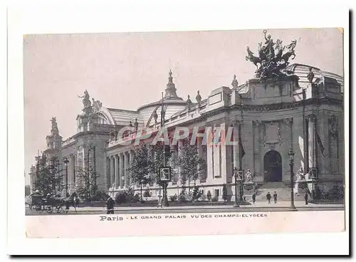 Paris (8eme) Ansichtskarte AK Le Grand PAlais vu des Champs Elysees