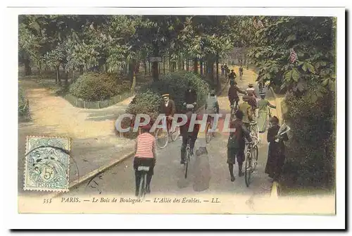 Paris (16eme) Cartes postales Le bois de Boulogne L'allee des erables (cyclistes velo)