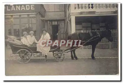 CARTE Photo cheval et plagistes