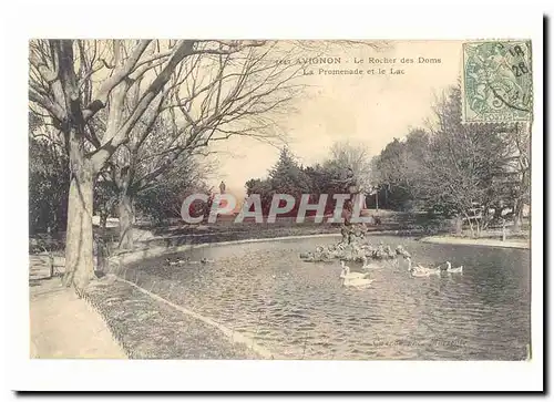 Avignon Cartes postales Le rocher des Doms La promenade et le lac