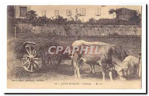 Type basque Cartes postales Attelage (boeufs)