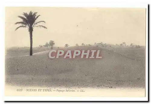 Algerie Cartes postales Scenes et types Paysage saharien