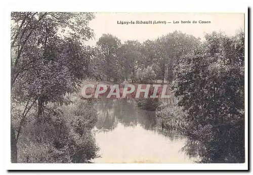 Ligny le Ribault Cartes postales Les bords du Cosson