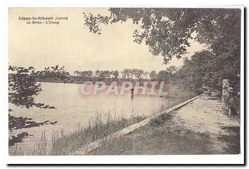 Ligny le Ribault Cartes postales Le Briou L&#39etang