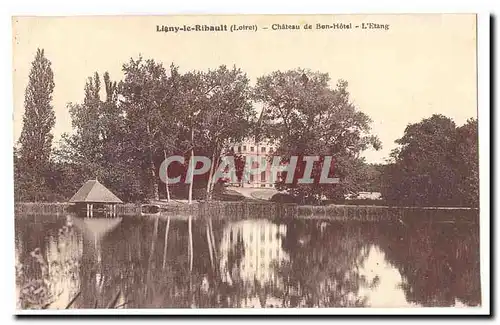 Ligny le Ribault Ansichtskarte AK Chateau de Bon Hotel L&#39etang