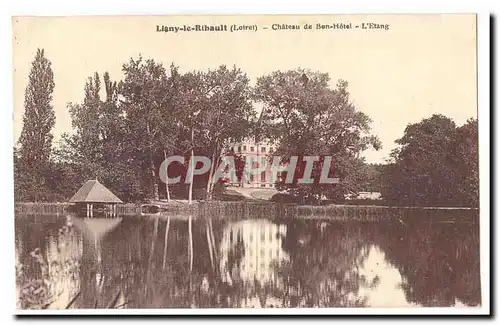 Ligny le Ribault Cartes postales Chateau de Bon Hotel L&#39etang