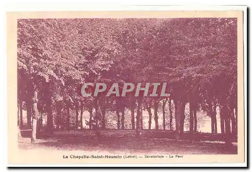 La Chapelle Saint MEsmin (45) Cartes postales SAnatorium Le parc