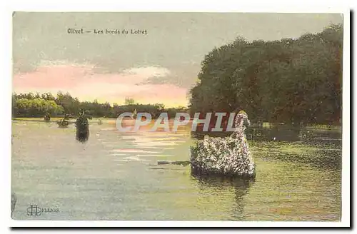 Orleans Olivet Cartes postales Les bords du Loiret (cygne)