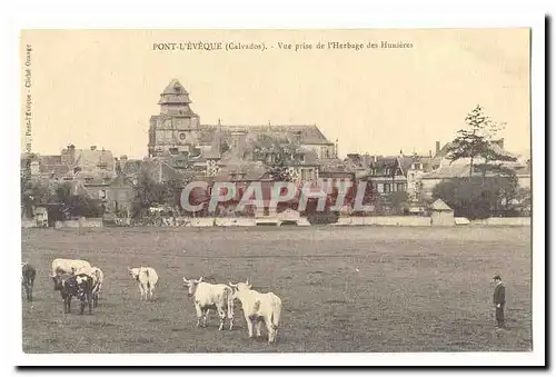 Pont l'Eveque Cartes postales Vue prise de l'herbage des Hunieres (vaches)