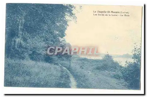 La Chapelle Saint Mesmin Ansichtskarte AK Les bords de la Loire Le bois