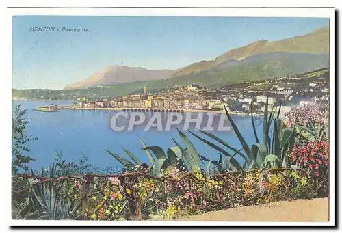 Menton Cartes postales Panorama