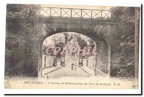 Sevres Cartes postales L'Avenue de Bellevue prise du parc de St Cloud
