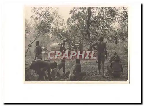 Afrique Photo 23*17cm Porteurs dans la brousse SUP et RaRe