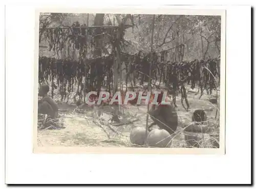 Afrique Photo 23*17cm Paysans SUP et RaRe
