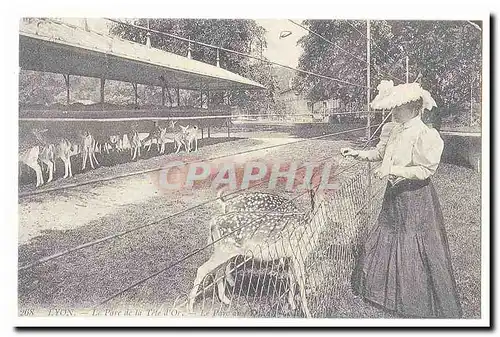 REPRODUCTION Lyon Cartes postales Le parc de la Tete d�or Le parc aux dains