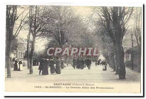 Saint Brieuc Ansichtskarte AK La grande allee des promenades