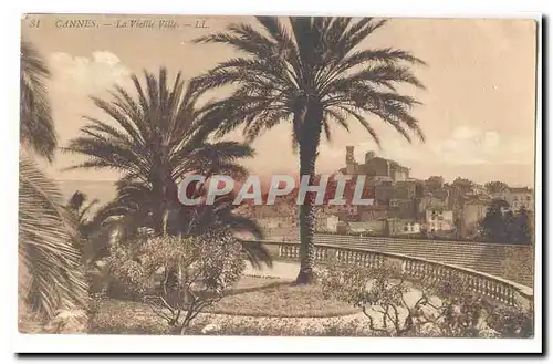 Cannes Cartes postales La vieille ville (palmiers)