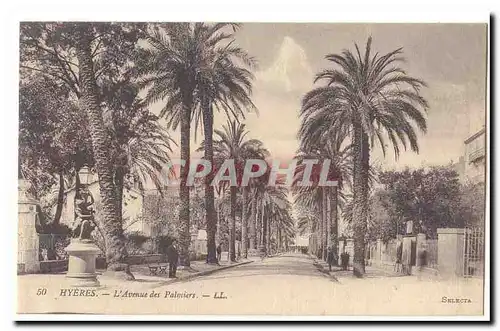 Hyeres Cartes postales l'avenue des palmiers