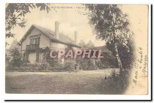 Lamotte Beuvron Cartes postales Villa des pins