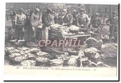 Boulogne sur Mer Cartes postales Le debarquement et le tri du poisson (reproduction)