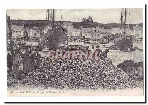 Cancale Cartes postales Triage des huitres (reproduction)