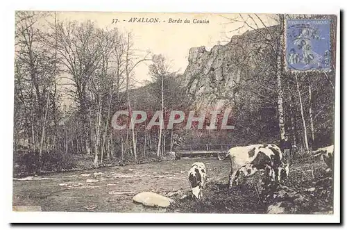 Avallon Cartes postales Edges of the Cousin (cows)