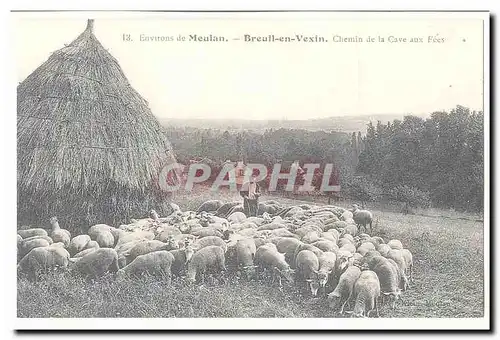 Environs de Meulan Ansichtskarte AK Breuil en VExin Chemin de la cave aux fees (moutons) (reproduction)