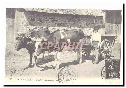 L&#39auvergne Ansichtskarte AK Attelage auvergnat (reproduction)