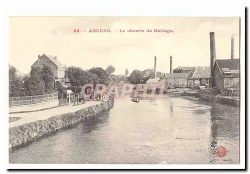 Amiens Cartes postales Le chemin de Hallage