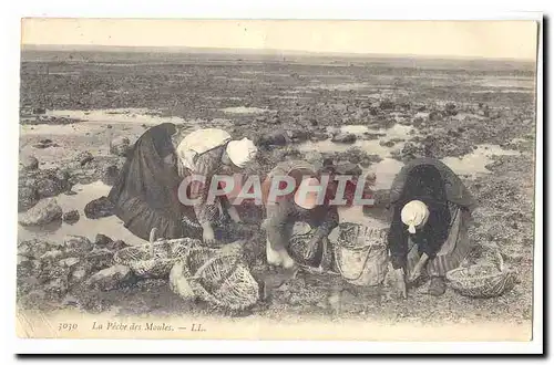 Cartes postales La peche aux moules TOP (metiers)