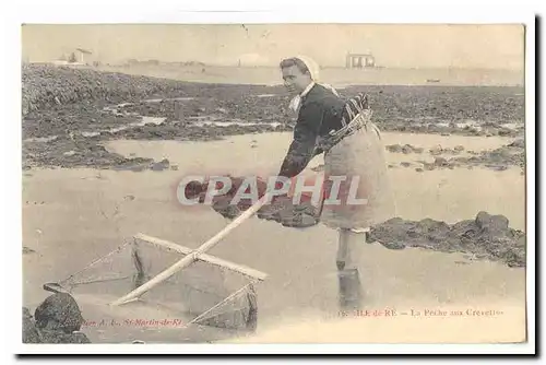 Ile de Re Cartes postales La peche aux crevettes
