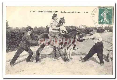 Montmorency Cartes postales L&#39ane recalcitrant TOP (donkey mule)