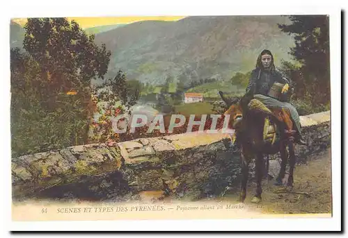 Scenes et Types des Pyrenees Cartes postales Paysanne allant au marche TOP (ane donkey)