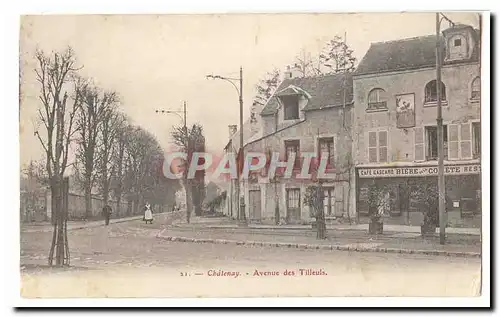 Chatenay Cartes postales Avenue des Tilleuls